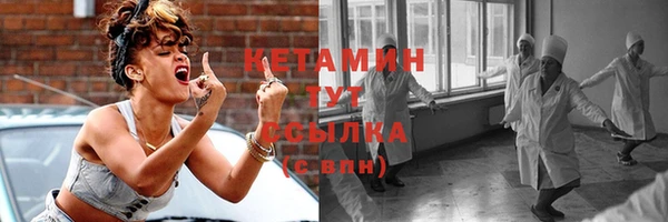 прущие грибы Новозыбков
