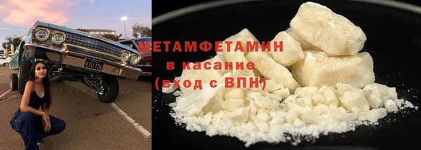 прущие грибы Новозыбков