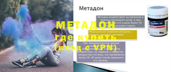 прущие грибы Новозыбков