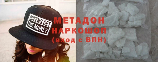 прущие грибы Новозыбков
