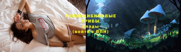 мет Новодвинск