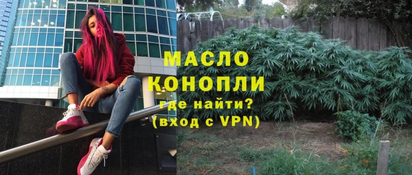 прущие грибы Новозыбков