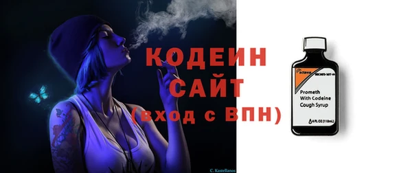 прущие грибы Новозыбков
