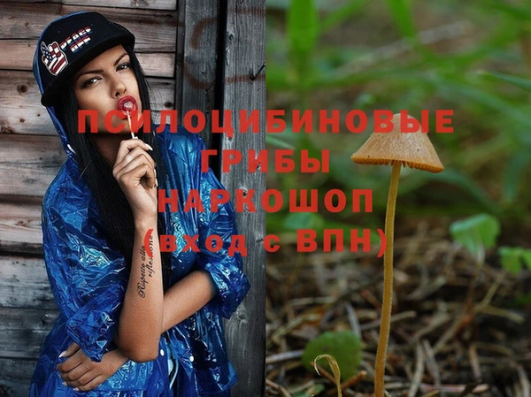 мет Новодвинск