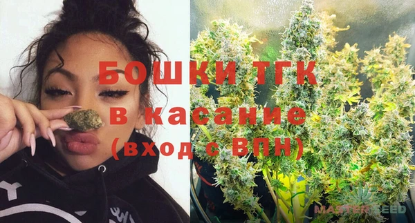 прущие грибы Новозыбков