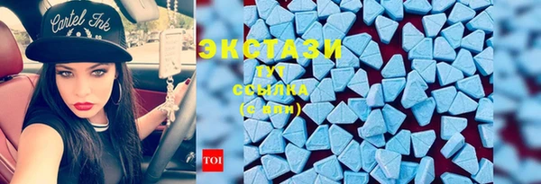 прущие грибы Новозыбков