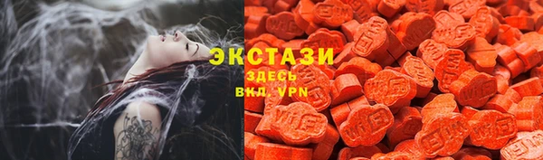 прущие грибы Новозыбков