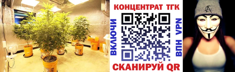 Дистиллят ТГК жижа Купить где Циолковский