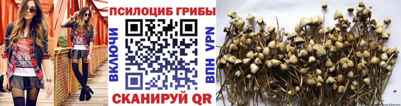 Псилоцибиновые грибы GOLDEN TEACHER  Купить закладки  Циолковский 